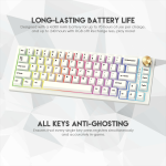 Tastatura Mehanicka Gaming Fantech MK858 RGB Maxfit67 Space Edition (white switch)